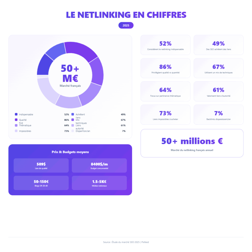 netlinking chiffres 2025